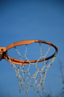 华体会体育登录入口-NBA球员体能训练计划设计与效果评估，nba球员的体能训练